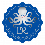 Logo Tielles DR